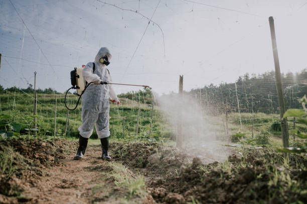 Best Ant Control Services  in Abingdon, VA