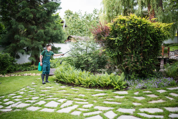 Best Pest Control Near Me  in Abingdon, VA
