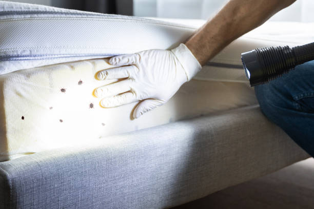 Best Residential Pest Control  in Abingdon, VA